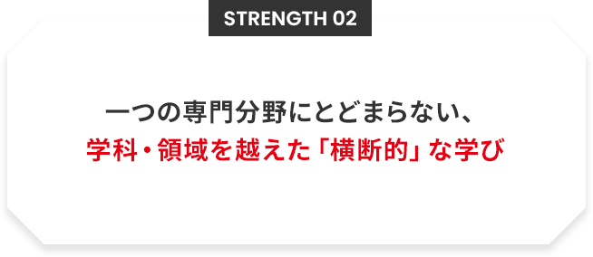 Strength 02 一つの専門分野にとどまらない、 学科・領域を越えた「横断的」な学び